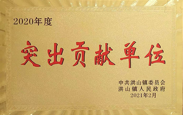 2020年度突出貢獻(xiàn)單位(2021.2).jpg 2020年度突出貢獻(xiàn)單位(2021.2).jpg